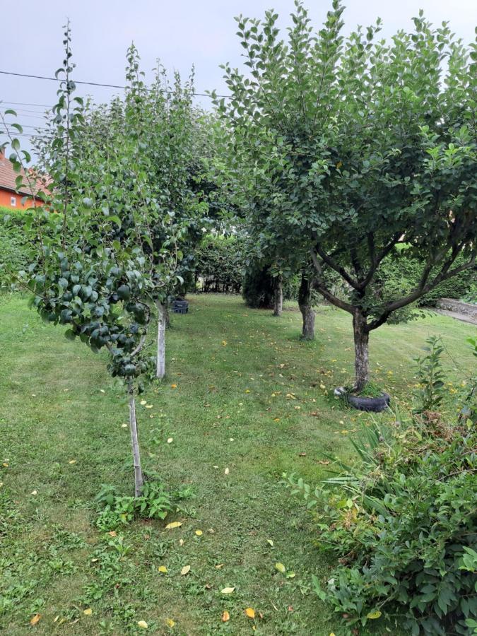 Becze Vanda Kulcsoshaz Lazarea Bagian luar foto
