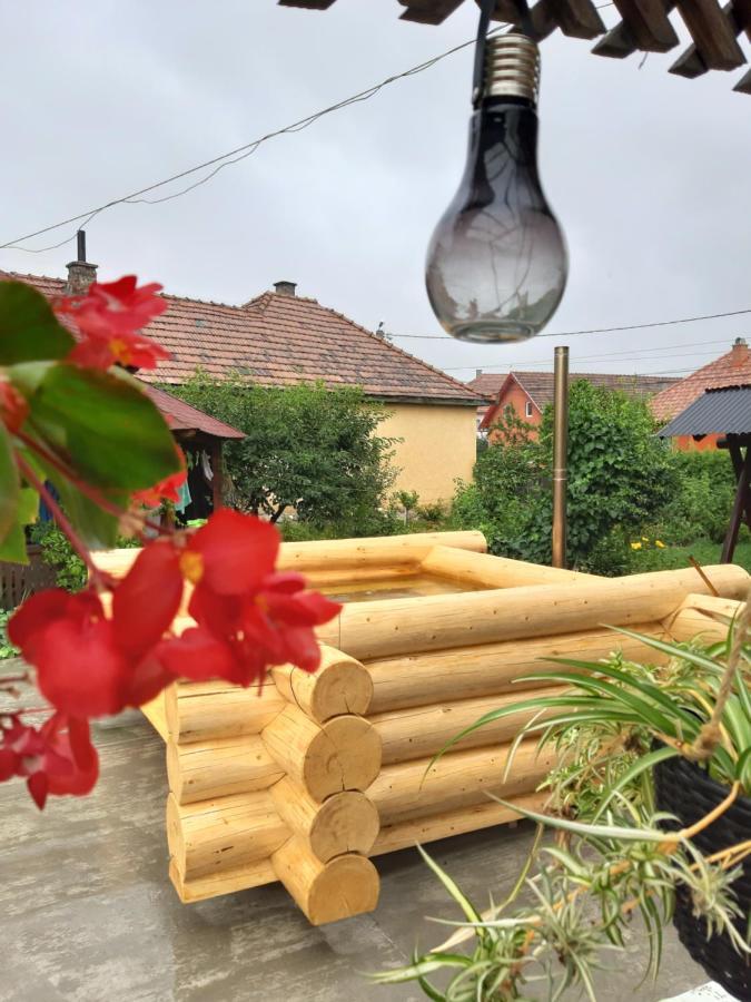 Becze Vanda Kulcsoshaz Lazarea Bagian luar foto