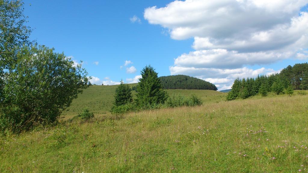 Becze Vanda Kulcsoshaz Lazarea Bagian luar foto