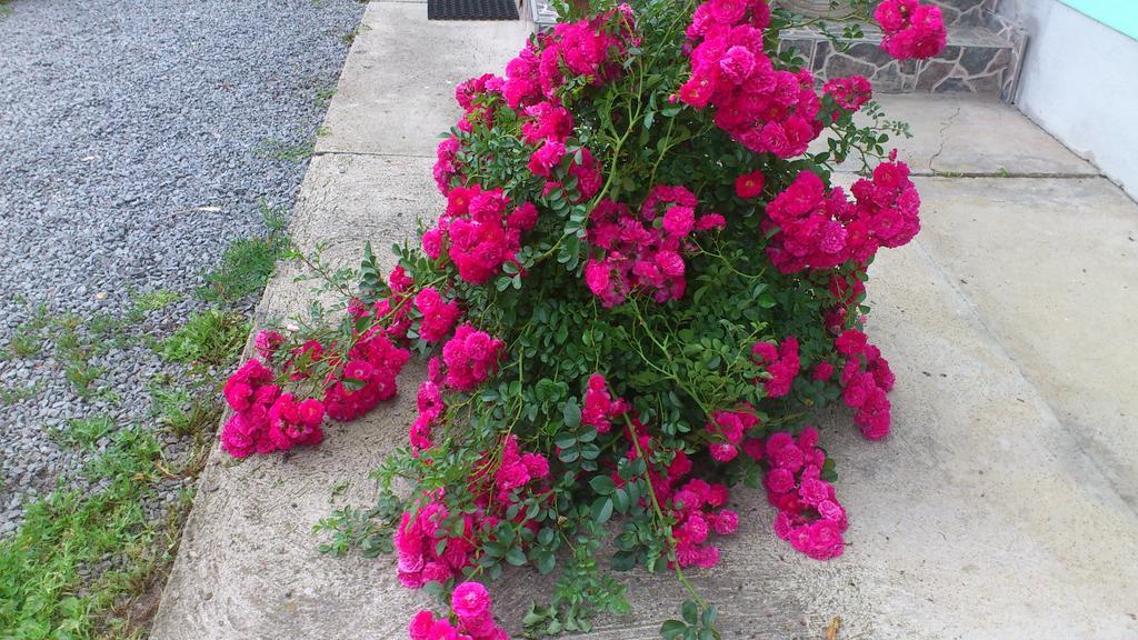 Becze Vanda Kulcsoshaz Lazarea Bagian luar foto
