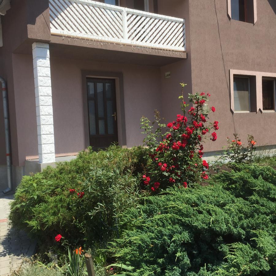 Becze Vanda Kulcsoshaz Lazarea Bagian luar foto